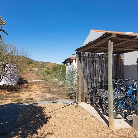 Oliva Al Iii * Moncarapacho